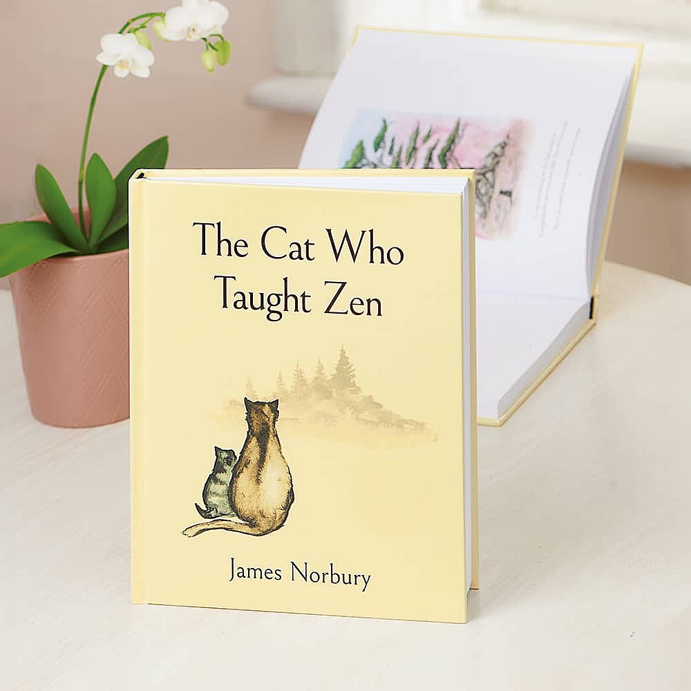 Zen cat best sale